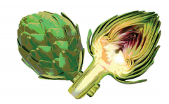 Thanksgiving Day Delivery